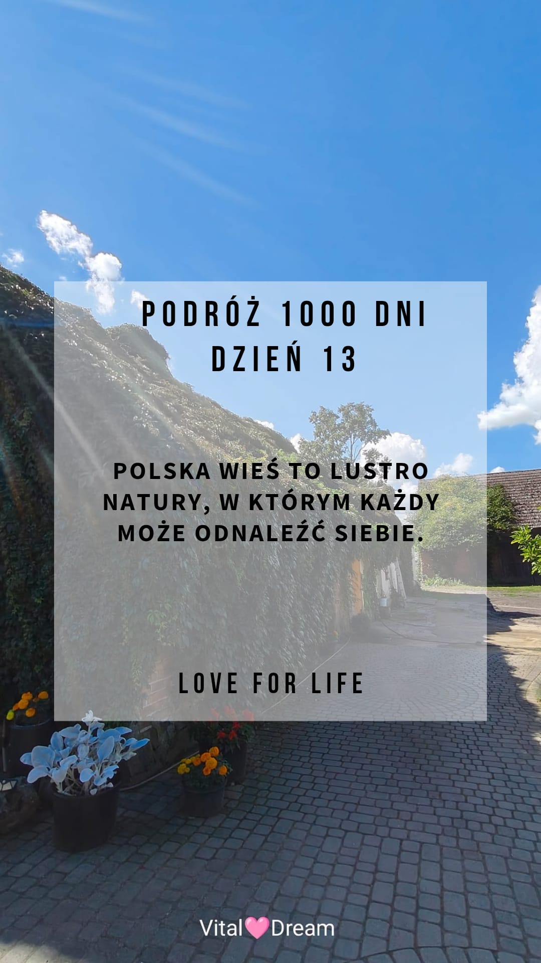 DZIEŃ 13